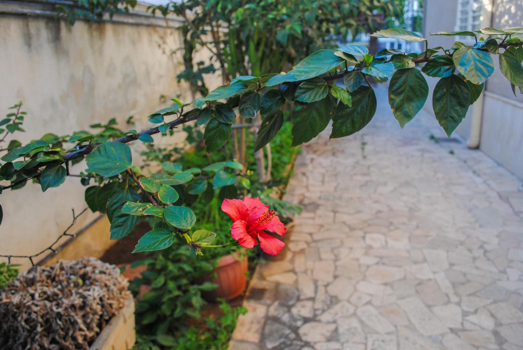 Villa Magnolia Con Giardino Bari Luaran gambar