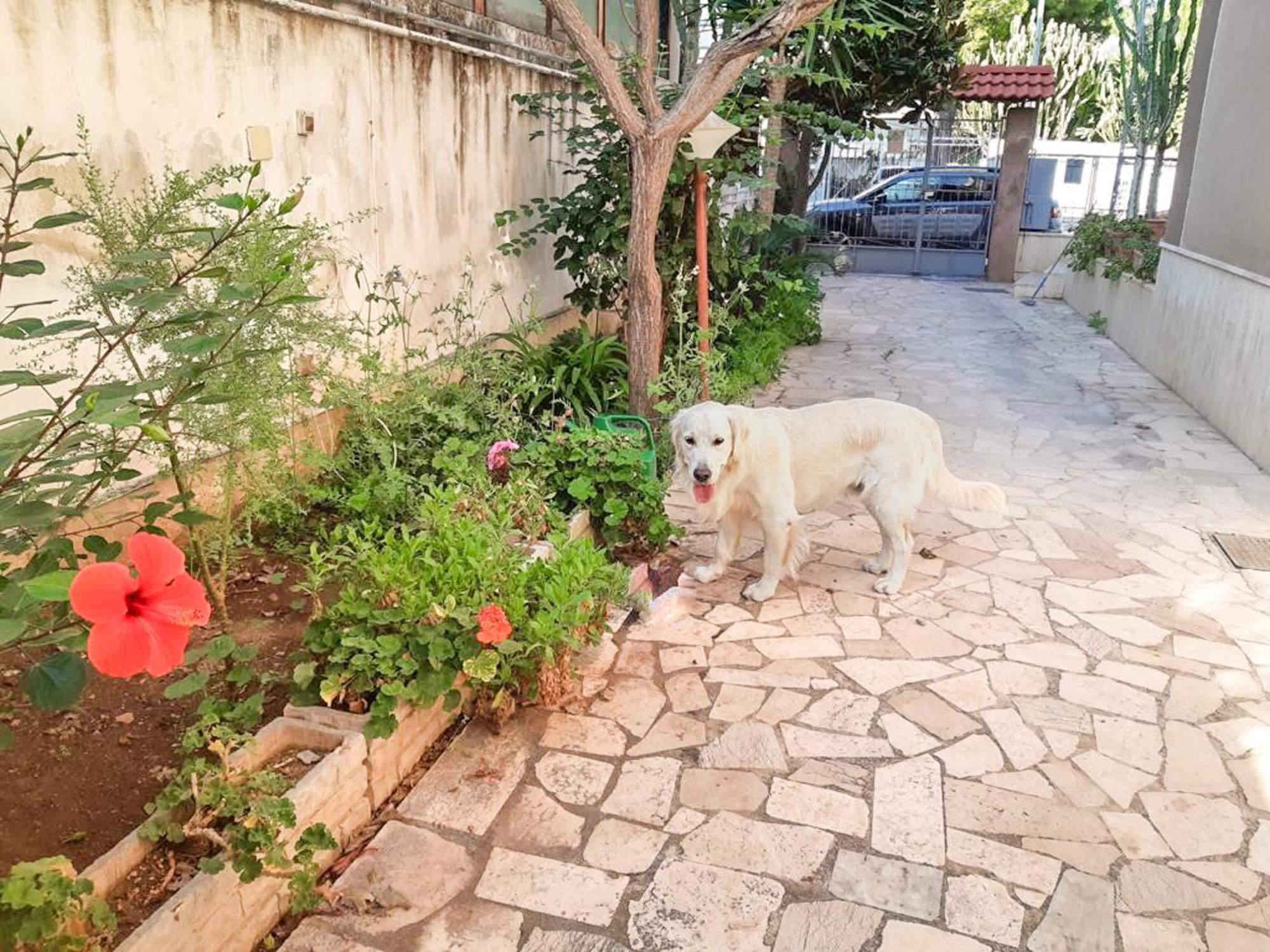 Villa Magnolia Con Giardino Bari Luaran gambar