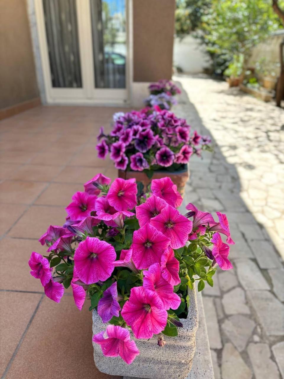Villa Magnolia Con Giardino Bari Luaran gambar